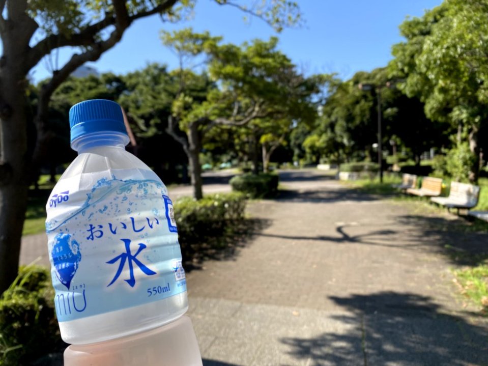 f:id:utsugi-bridge:20210719004352j:plain
