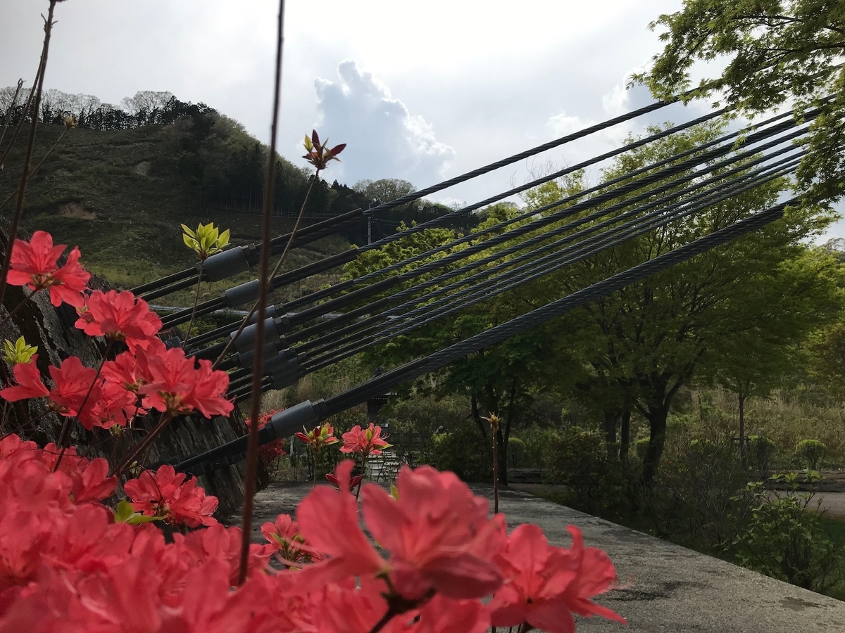 f:id:utsugi-bridge:20210801160454j:plain