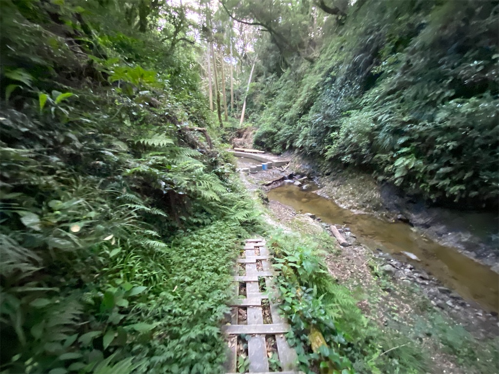 f:id:utsugi-bridge:20210813162925j:plain