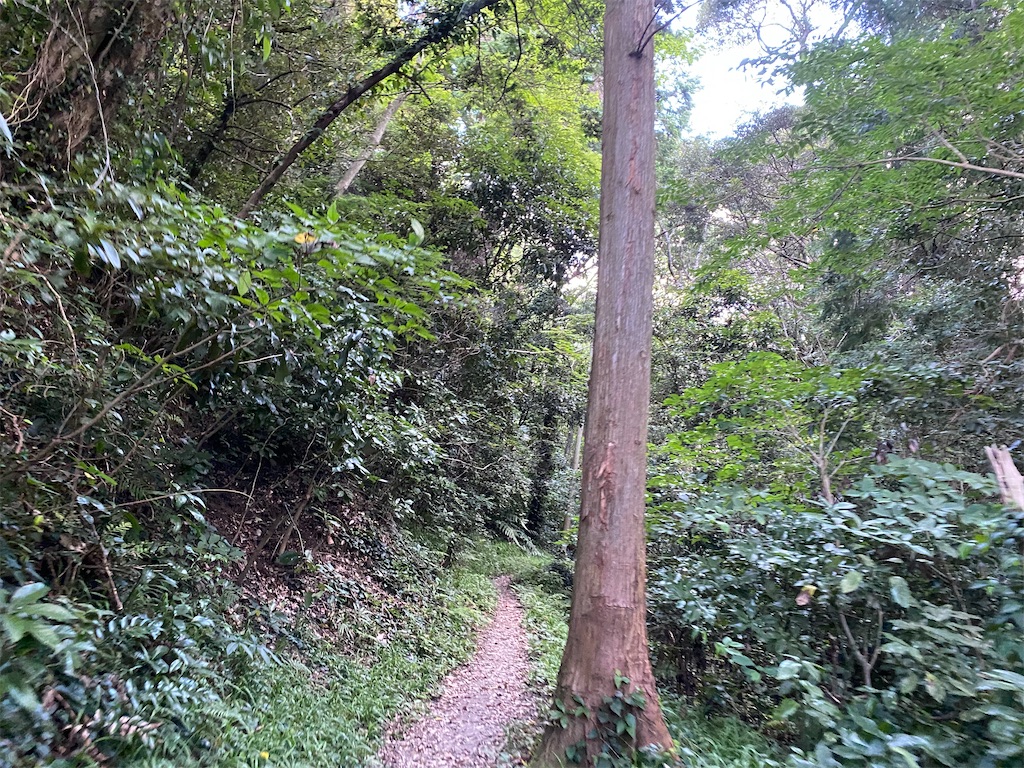 f:id:utsugi-bridge:20210813163117j:plain