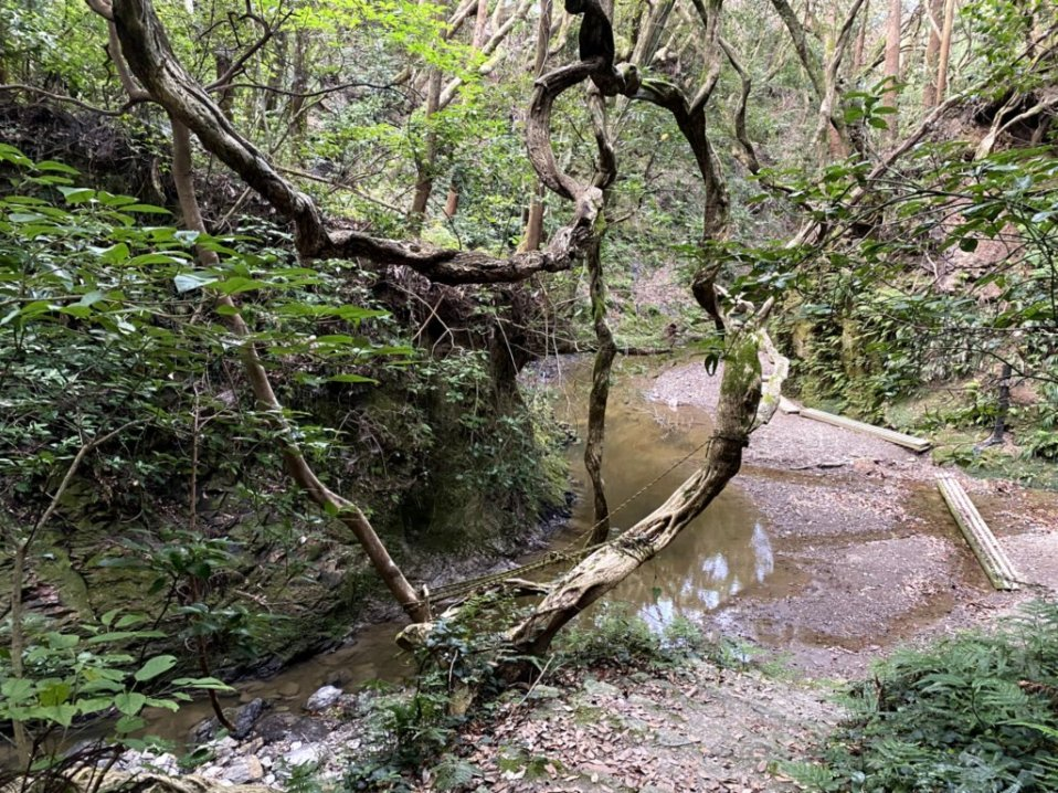 f:id:utsugi-bridge:20211219124758p:plain