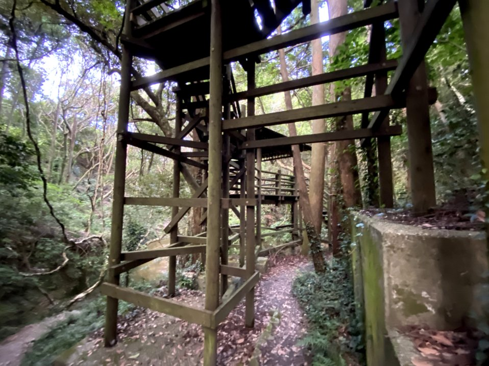 f:id:utsugi-bridge:20211219124855p:plain