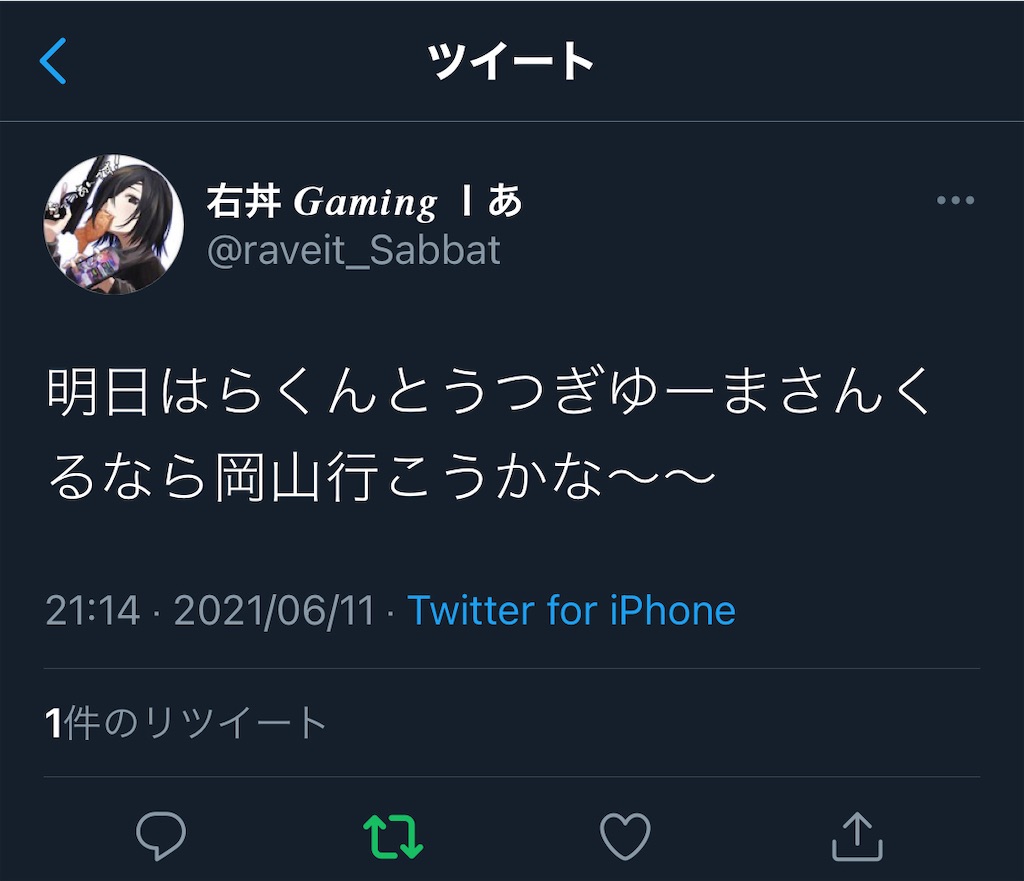 妹尾ラウンドワンプチオフ会 仮称 ツイッターの延長線