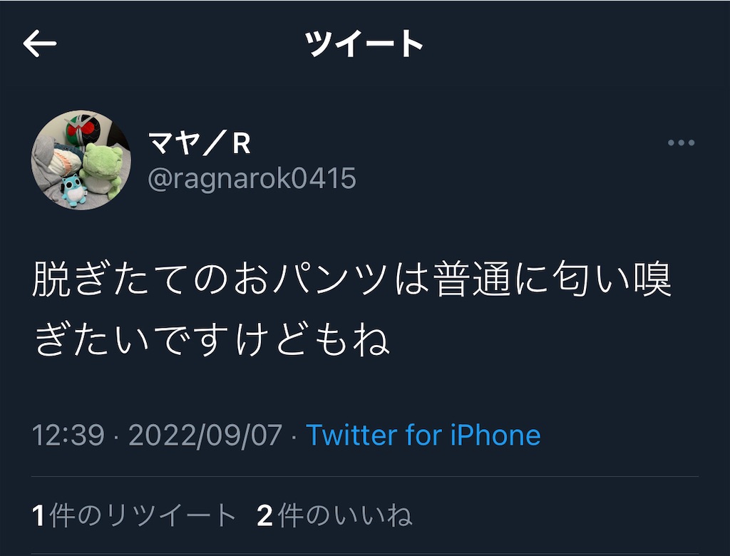 f:id:utsugi_yuma:20220908122121j:image f:id:utsugi_yuma:20220908122121j:image