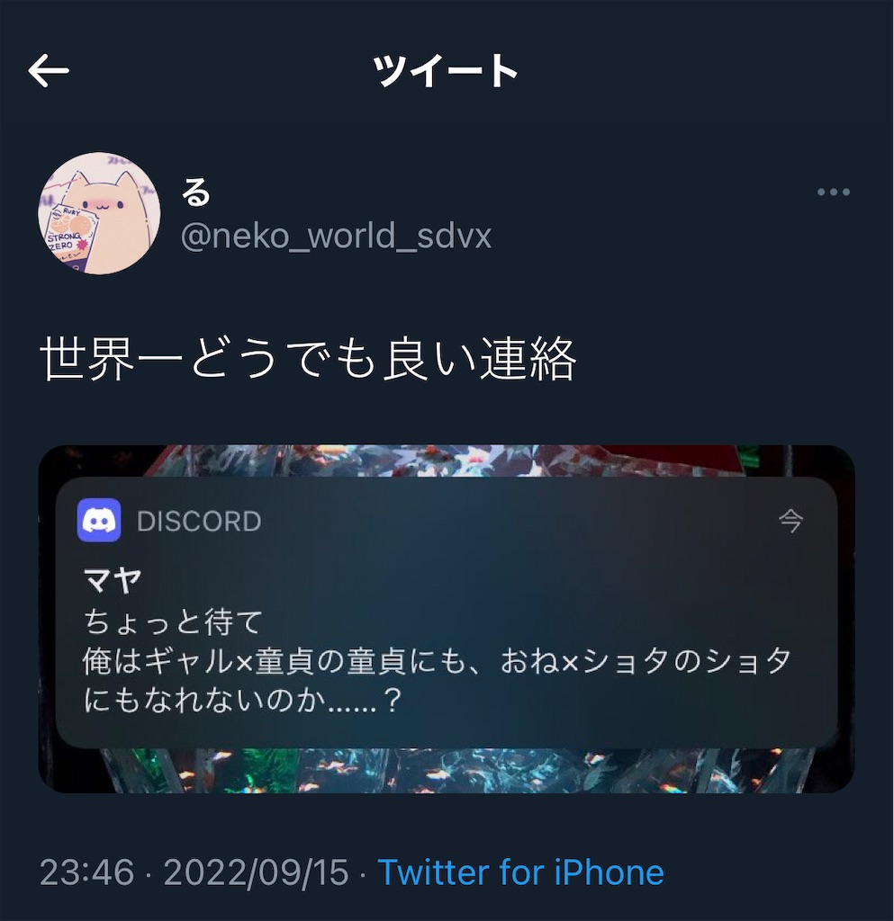 f:id:utsugi_yuma:20220916080808j:image f:id:utsugi_yuma:20220916080808j:image