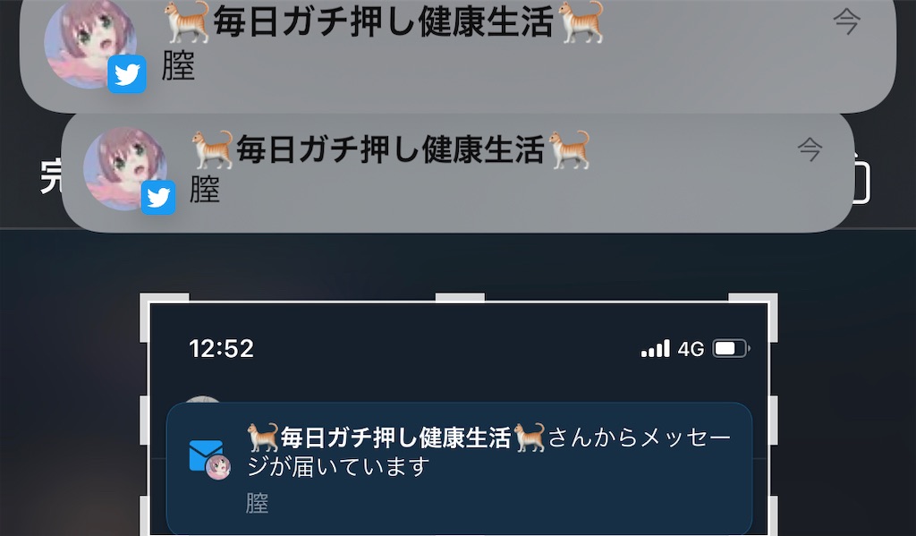 f:id:utsugi_yuma:20220927122504j:image f:id:utsugi_yuma:20220927122504j:image