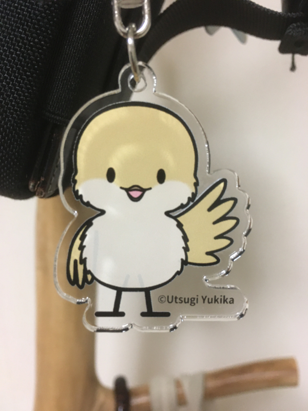f:id:utsugiyukika:20200306202842j:plain f:id:utsugiyukika:20200306202842j:plain