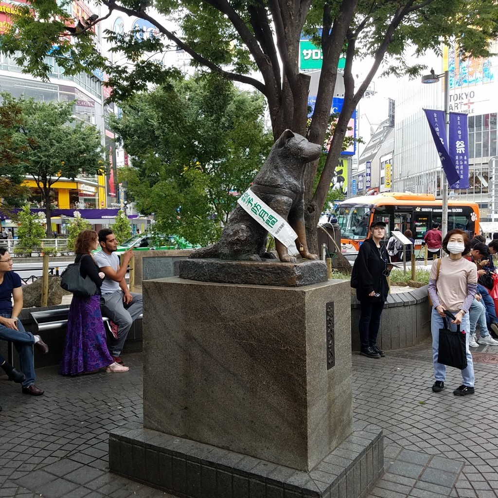 f:id:utsuno_dcz:20170917225502j:plain f:id:utsuno_dcz:20170917225502j:plain