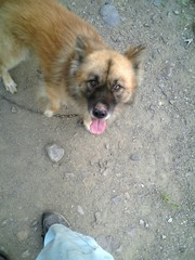 f:id:utti0126:20060726172845j:image f:id:utti0126:20060726172845j:image