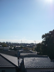 f:id:utti0126:20071119181426j:image f:id:utti0126:20071119181426j:image