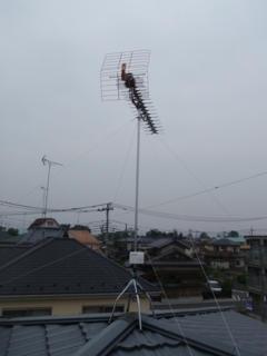 f:id:utti0126:20090511122738j:image f:id:utti0126:20090511122738j:image