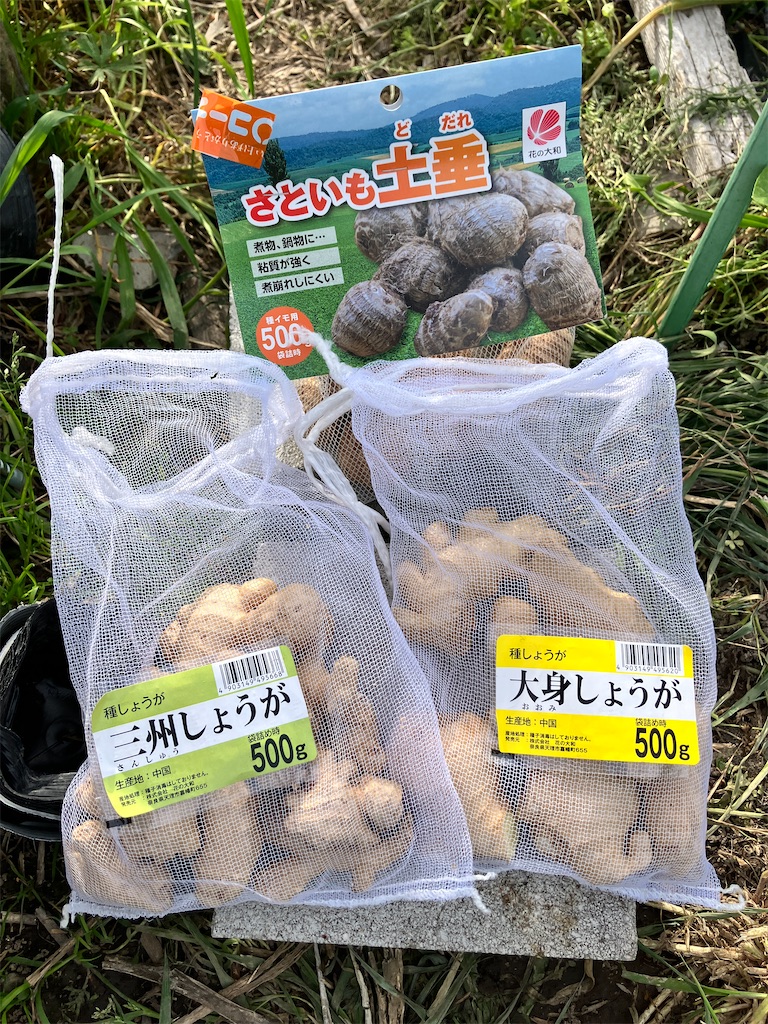 f:id:uttiimo:20260412213758j:image f:id:uttiimo:20260412213758j:image