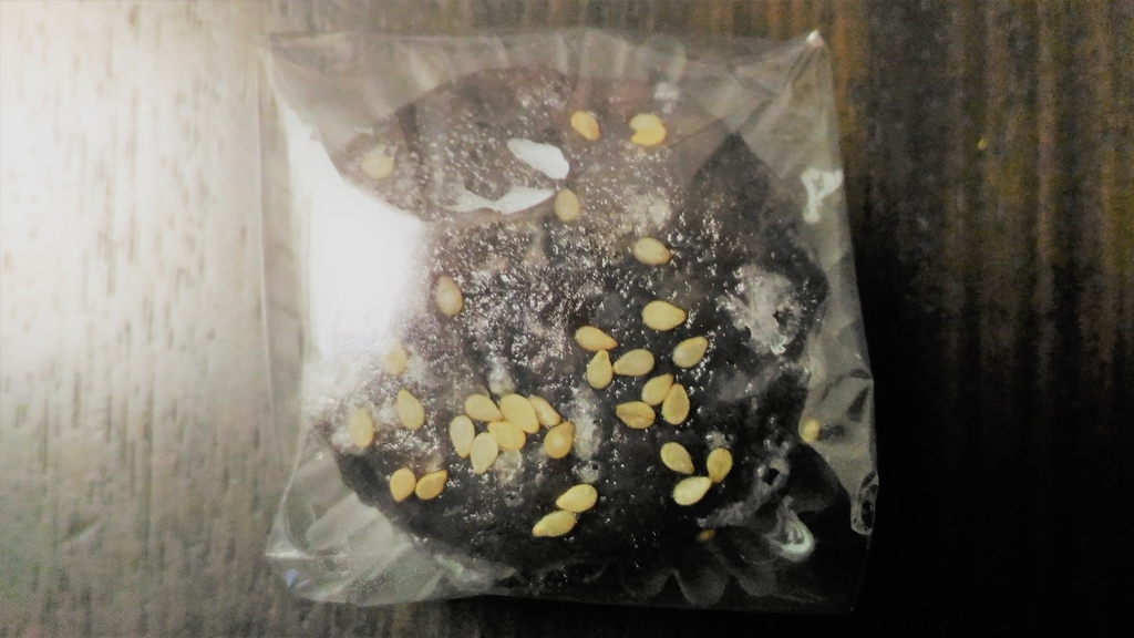 f:id:uttsume:20190128211031j:plain