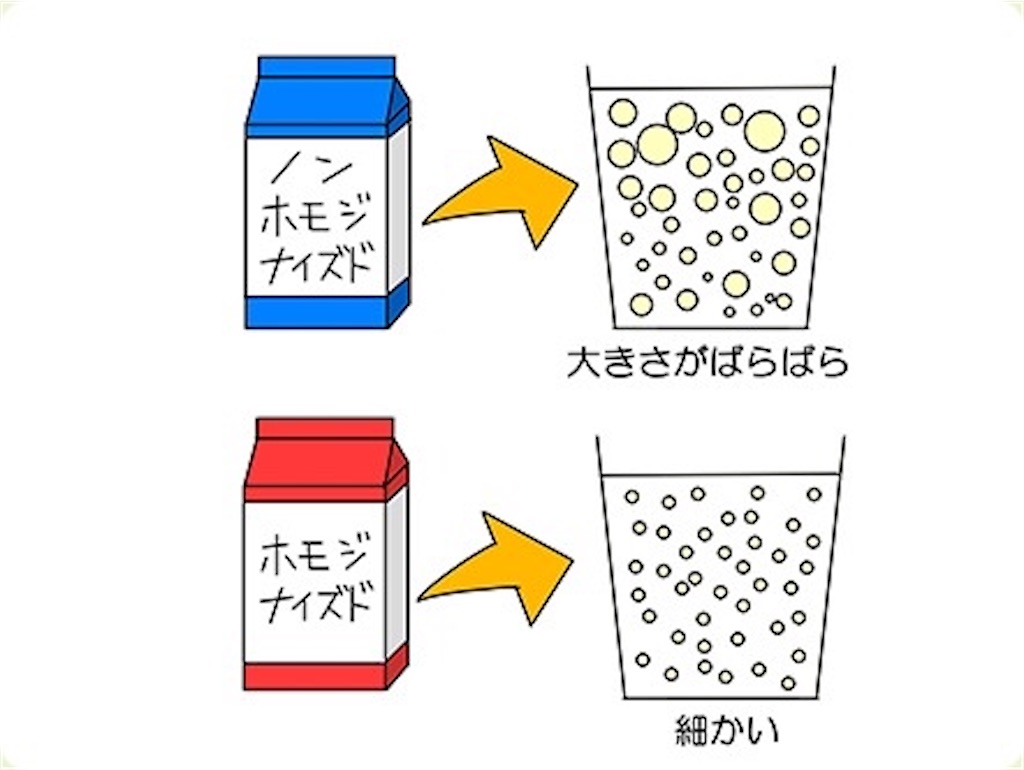 f:id:uttuv:20200526201325j:image f:id:uttuv:20200526201325j:image