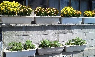 f:id:uttyan59:20120428105446j:image:w360 f:id:uttyan59:20120428105446j:image:w360