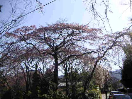 f:id:utu:20050404154742:image:h180 f:id:utu:20050404154742:image:h180