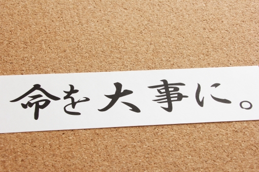 f:id:utubyoukaizenn:20190401204527j:plain