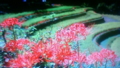 f:id:utuwa:20120930101500j:image:medium:right