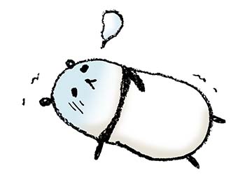 f:id:utuwokurawaba:20200905150814j:plain