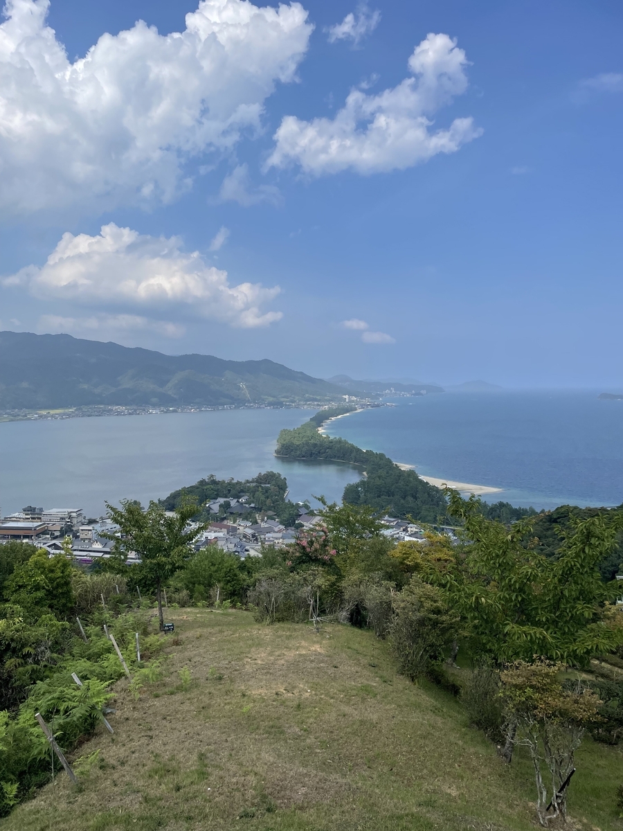 遊園地からの景色