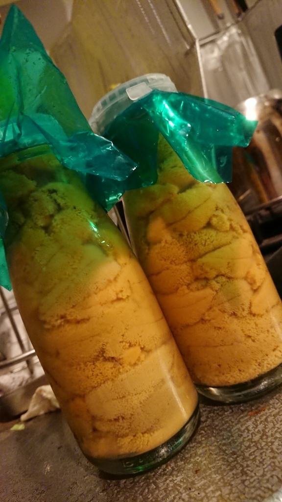 f:id:uu_ka:20180830205017j:plain f:id:uu_ka:20180830205017j:plain