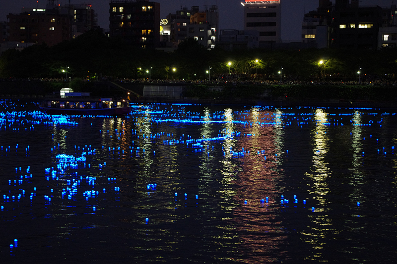 [東京ホタル2013][隅田川]