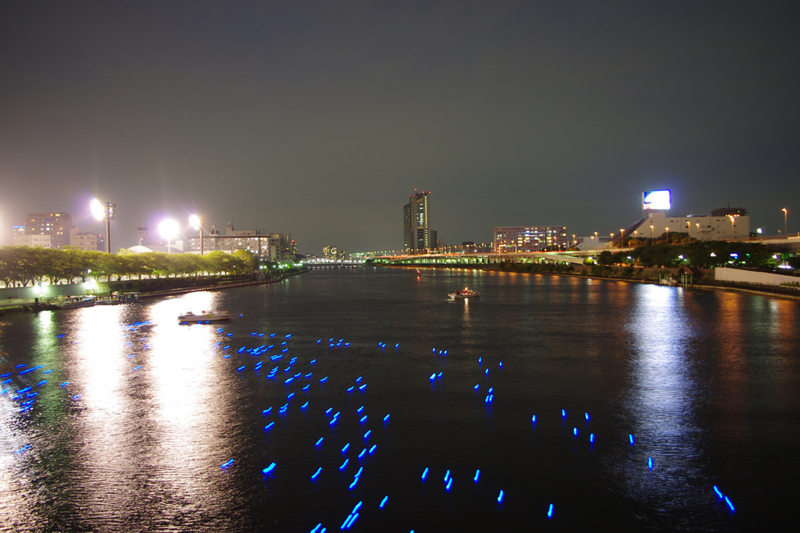 [東京ホタル2013][隅田川]