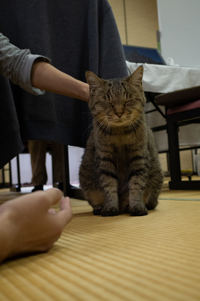 f:id:uutarou:20181208230815j:plain