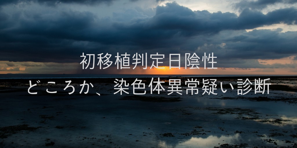 初移植判定日は陰性 どころじゃなく卵子の染色体異常の可能性を指摘され いざ 神戸へ にんfull ブログ