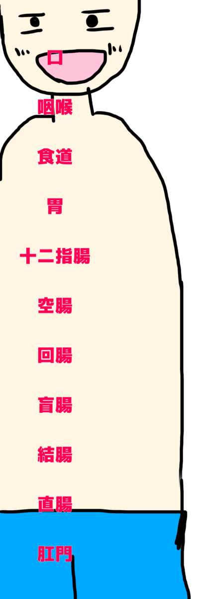 f:id:uuuta1122:20191001082737p:plain f:id:uuuta1122:20191001082737p:plain