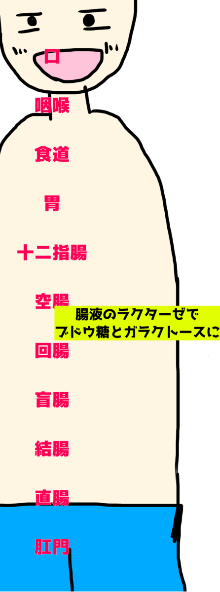 f:id:uuuta1122:20191001142648p:plain f:id:uuuta1122:20191001142648p:plain