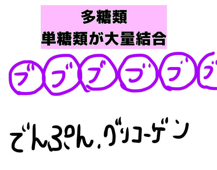 多糖類のでんぷんとグリコーゲンを簡単説明 保育士試験 子どもの食と栄養 ほいのーと保育漫画