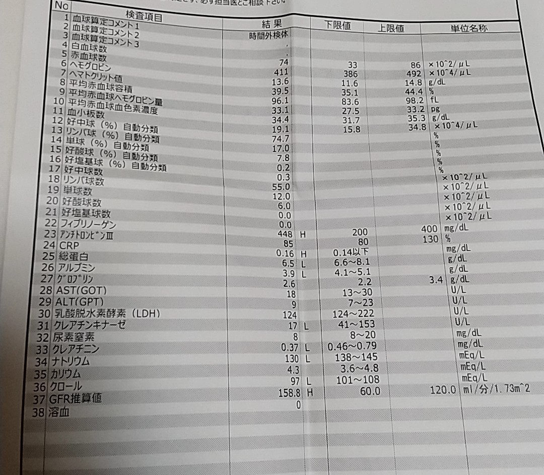 低血圧人間のはずが 妊娠37週で血圧139をたたき出して救急受診してきた時の日記 知育プット