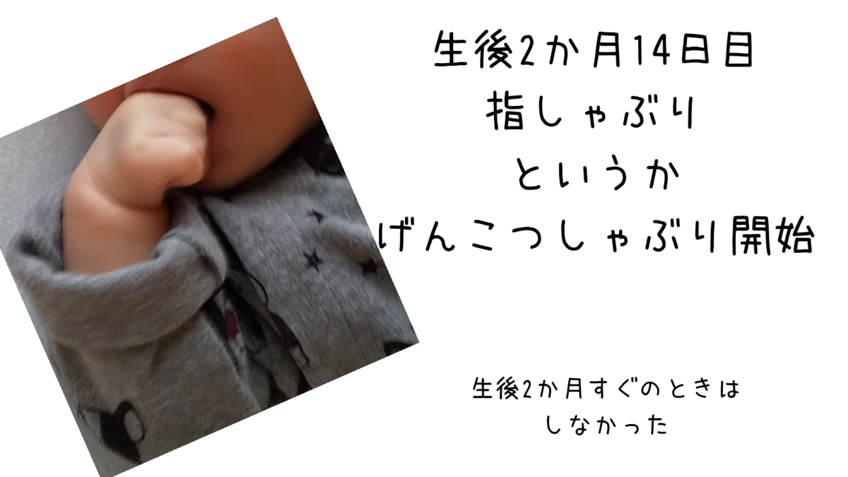 生後2ヶ月14日目 指しゃぶり開始 というより げんこつしゃぶり 笑 保育士うたのブログ