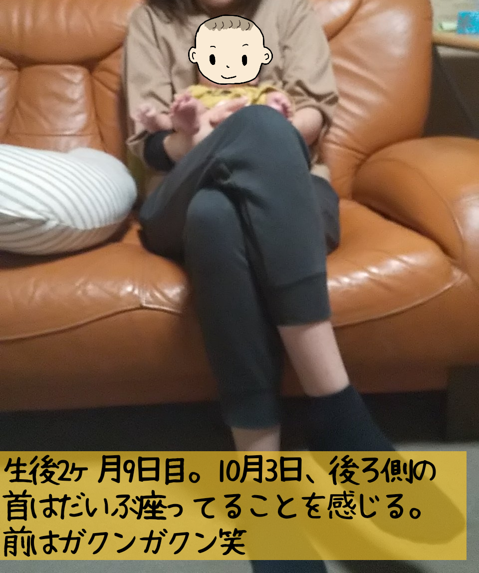 生後2ヶ月 生後3ヶ月の首すわり 首の後ろは座ったけど 前はぐらつくので まだ座ってない感じ 知育プット