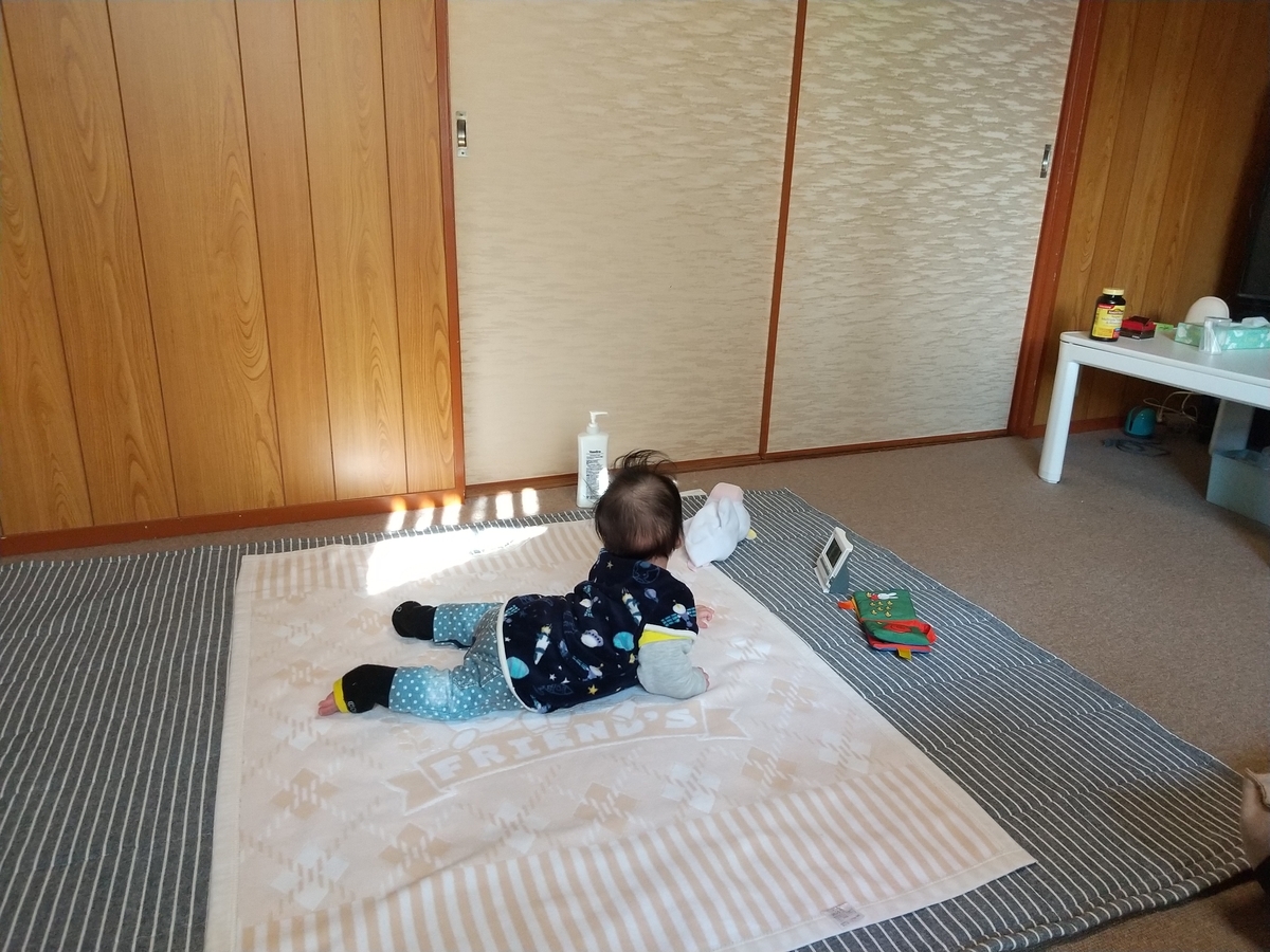離乳食初期6日目 カゴメのトマトペーストを水で薄めて加熱し 離乳食にしました 知育プット