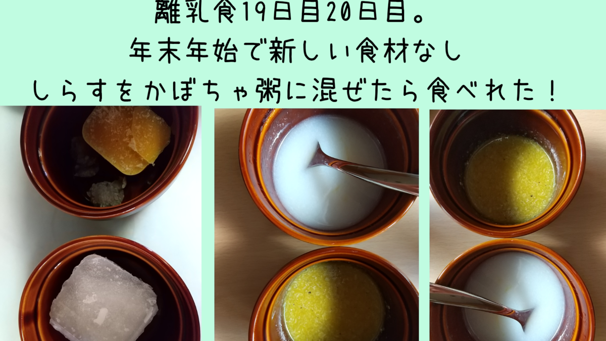 離乳食日目 21日目 しらすをかぼちゃじゃがいも粥に混ぜたら食べれるようになった 保育士うたのブログ