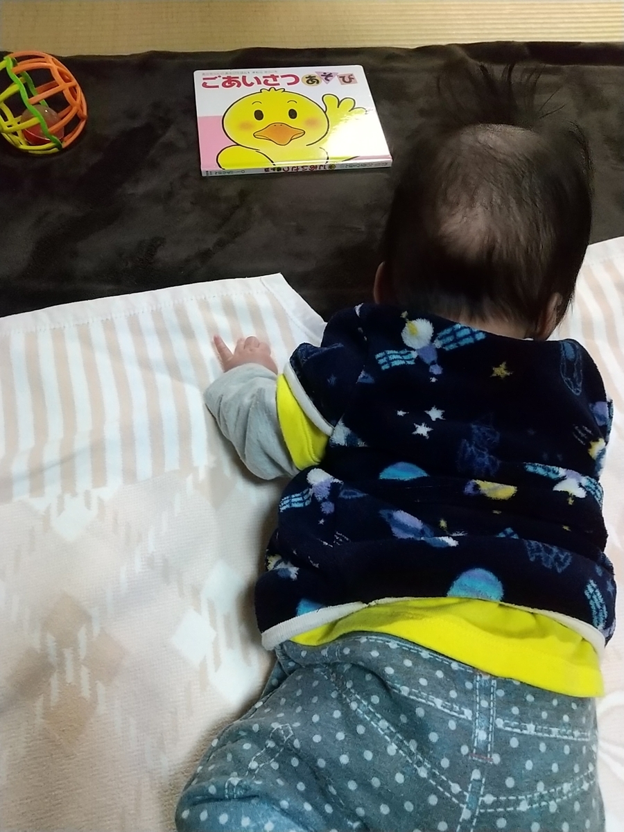 旦那が赤ちゃんと遊ばない 話し合ったら 苦手 ってなんやねん 知育プット