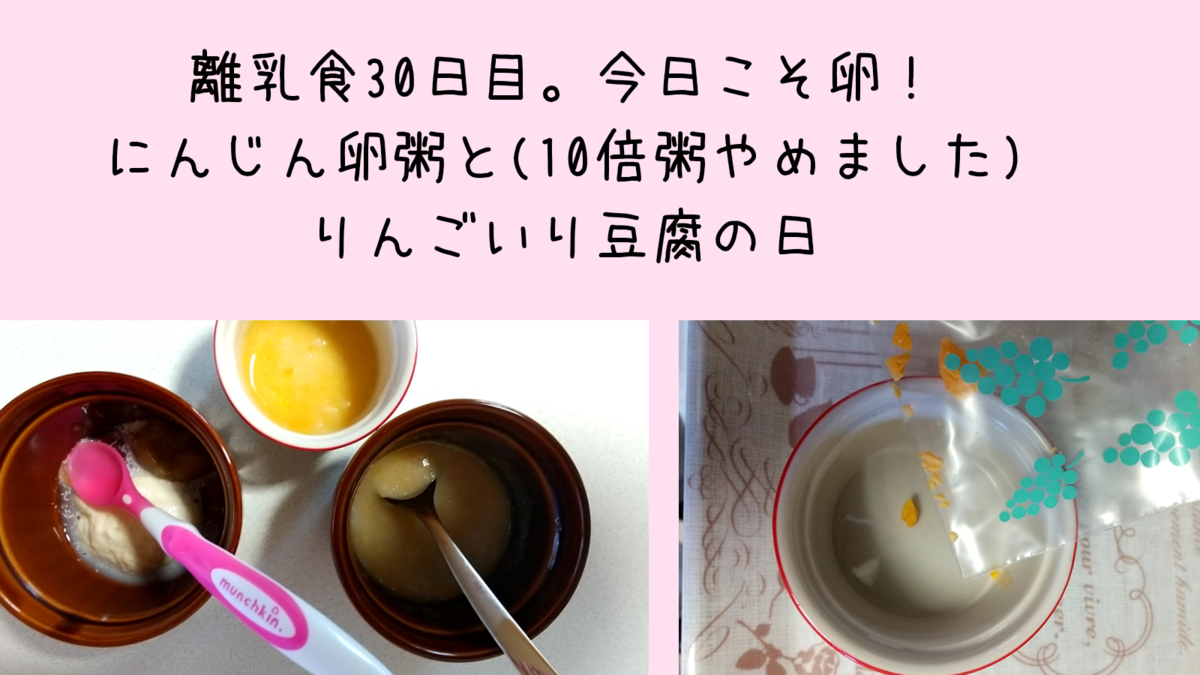 離乳食30日目 卵を食べてくれた りんご豆腐は美味しくない 笑 知育プット