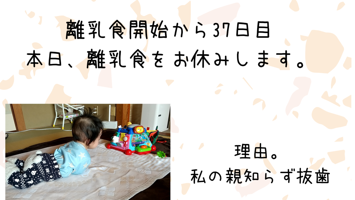 離乳食を1日お休みにしたこと 開始37日目の生後6ヶ月 知育プット
