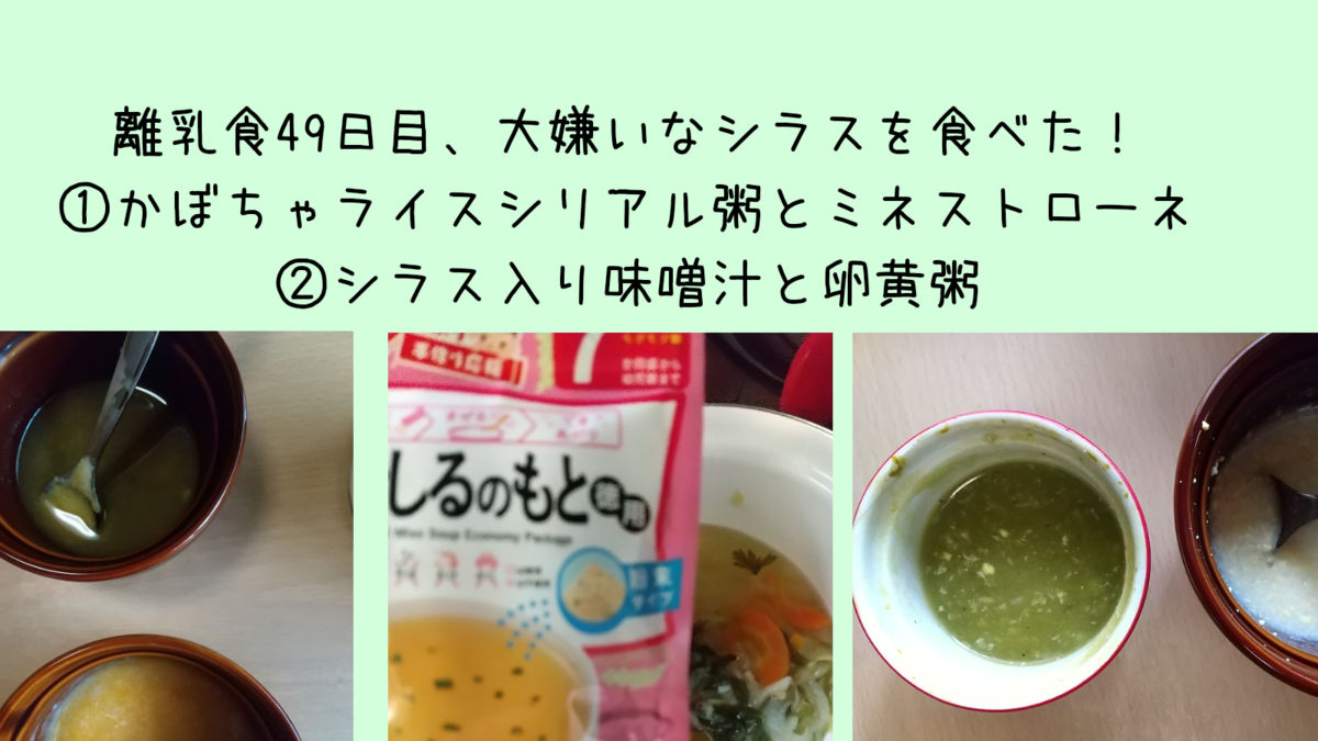 離乳食49日目 食べないを貫いてきたシラス 味噌汁に入れたら食べた 保育士うたのブログ