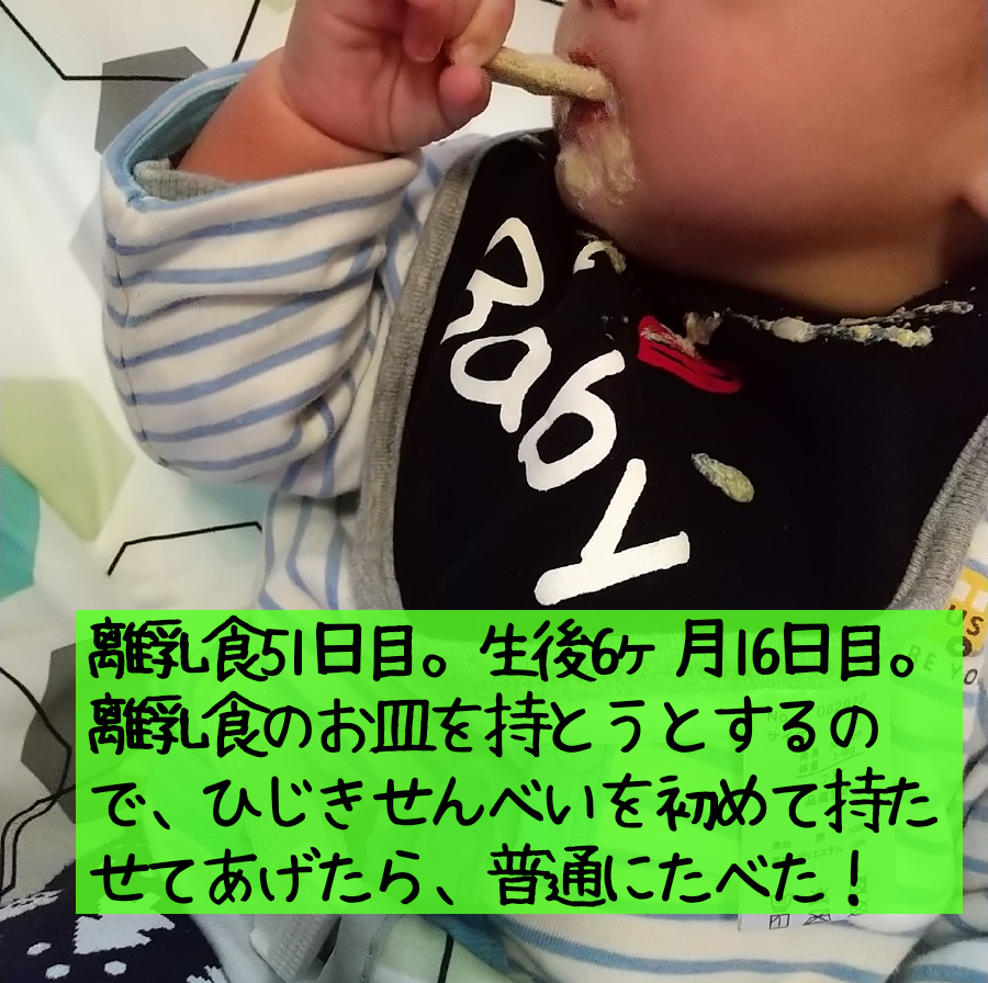 離乳食51日目 生後6ヶ月 ひじきせんべいを持って舐めて食べた笑 歯はまだ無い 笑 保育士うたのサイト