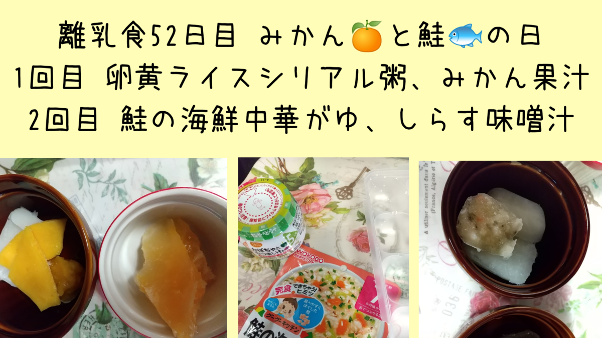 離乳食52日目 和光堂の鮭の海鮮中華がゆと みかん果汁 知育プット
