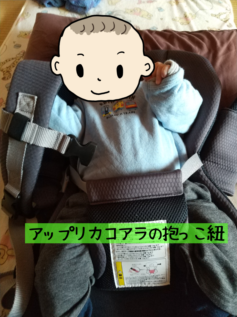 ベビーカーの対面式はいつからいつまで使う 必要 むしろいらない 私の体験談を書きます 知育プット