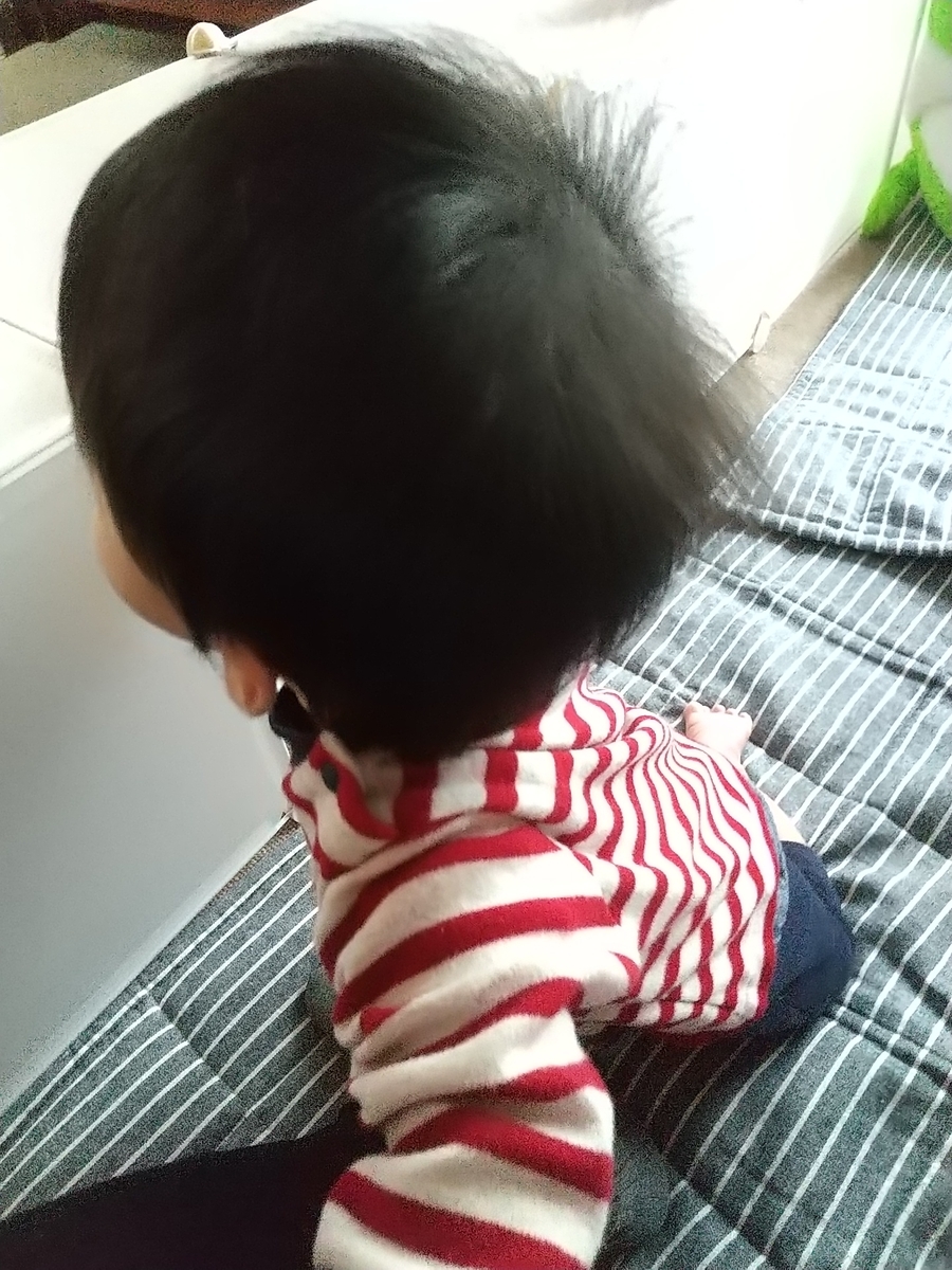 7ヶ月検診でお座りできない 自然に座れるようにもなるけど練習してもokらしい 保育士うたのサイト