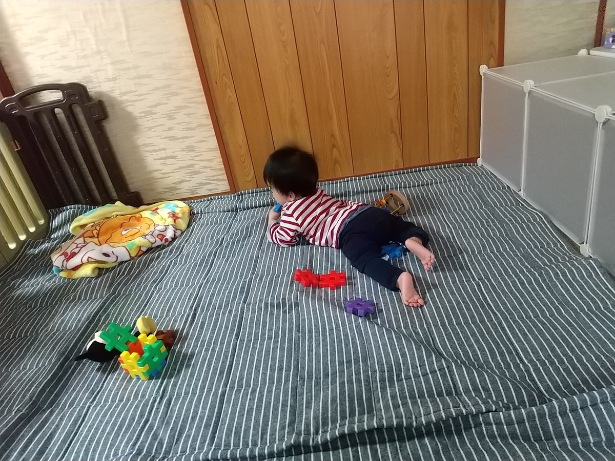 ペットゲートとベビーゲートの違い ペット用のサークルを赤ちゃんに使う 知育プット