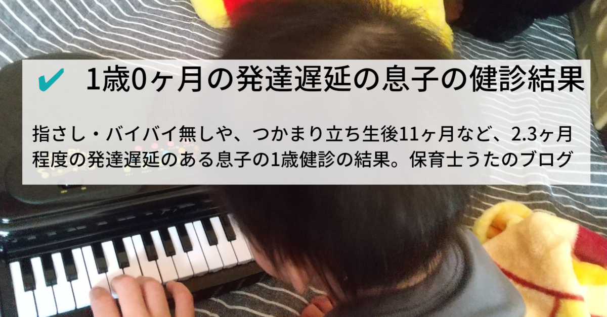 1歳0ヶ月で発達が遅い息子の1歳健診の結果 発達ゆっくりさんブログ 知育プット