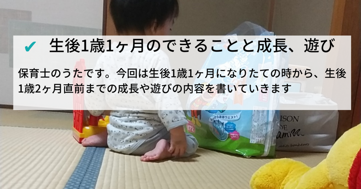 生後1歳1ヶ月のできることと遊びの内容 生後13ヶ月の成長 知育プット