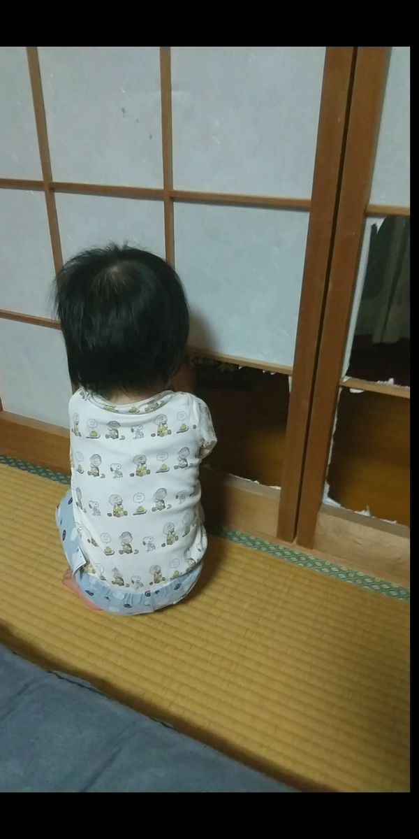 フラッシュカードの手作り ラミネートして 1歳でも大丈夫なように頑丈にします 保育士うたのサイト