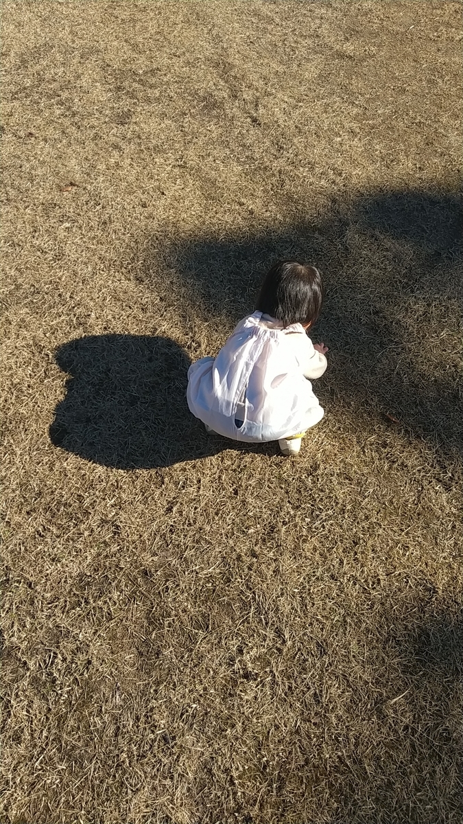 f:id:uuuta1122:20211226110054j:plain